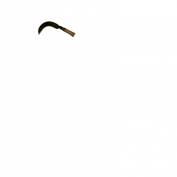 Creation of Phoenix Rising: Step 4